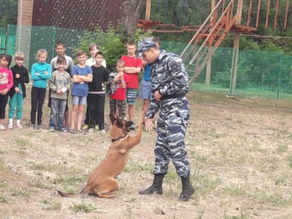 В Оренбурге проведена спартакиада среди детских оздоровительных лагерей, приуроченная к Международному дню борьбы с наркоманией