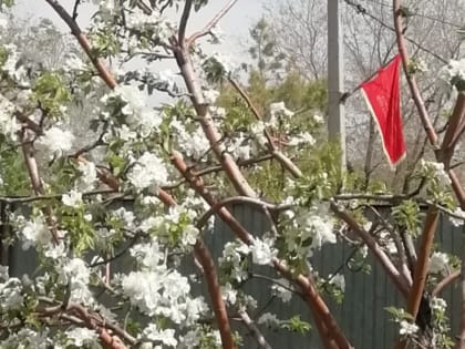 Май – это праздник Победы! Май – это праздник весны!