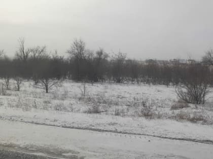 Днем 11 февраля в Оренбургской области прогнозируют небольшой снег, ветер и до -4 градусов