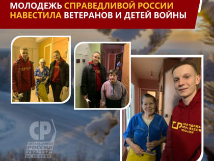 Молодёжь СПРАВЕДЛИВОЙ РОССИИ навестила ветеранов и детей войны!