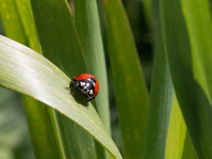 Светлый Вторник: что можно и нельзя делать 18 апреля