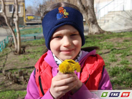 Фото, сделанные в Вербное воскресение