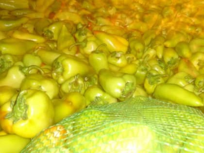 В Оренбуржье попытались провезти 136 тонн опасных продуктов из ближнего зарубежья