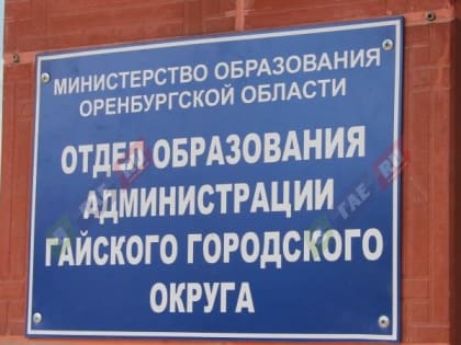 Н.Н Шпота назвала причину поквартирного обхода гайчан