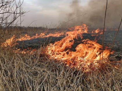 В Бугуруслане и Бугурусланском районе прогнозируется четвёртый класс пожарной опасности