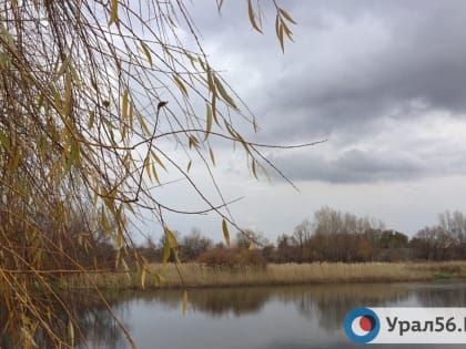 Прохладная погода с дождями в Оренбургской области сохранится до конца недели