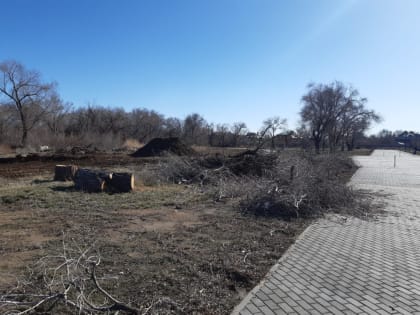 В парке Пищевик начался IV этап реконструкции