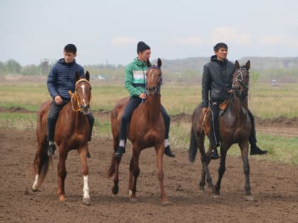 «Скачки» собрали несколько тысяч орчан