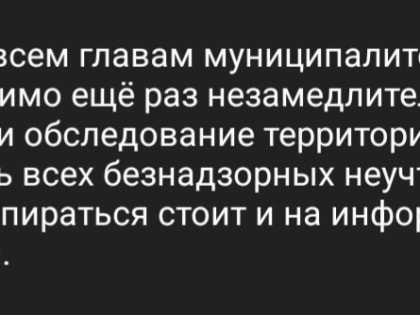 Губернатор Паслер распорядился отловить всех безнадзорных собак в Оренбуржье