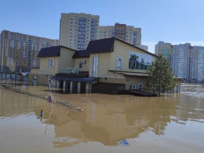 Более 85 тысяч жителей Оренбургской области признаны пострадавшими от паводка