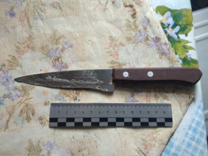 Житель Саракташа во время распития спиртного ударил собутыльника ножом в живот