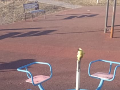 Вандалы в парке «Северный»