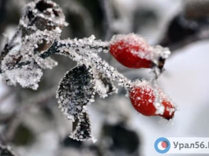 В Оренбургской области в ночь на 7 марта может похолодать до -25°С. Ночные морозы не отступят и к женскому празднику