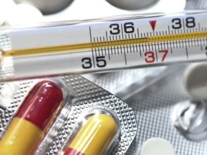 Названы территории Оренбургской области с максимальным распространением гриппа