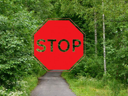 Об ограничении пребывания граждан в лесах