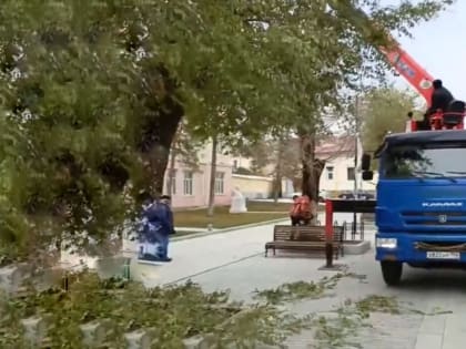 В Оренбурге на улице Советской вырубают деревья