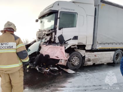 В Переволоцком районе в аварии погибли женщина и 4-летний ребенок