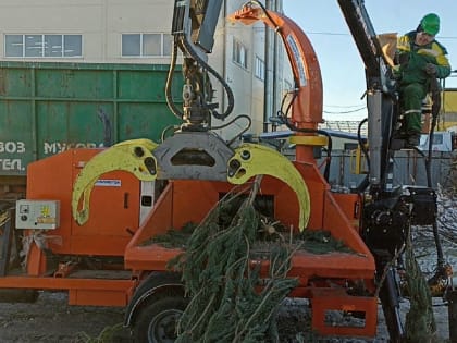 Региональный оператор “Природа” дает елкам вторую жизнь