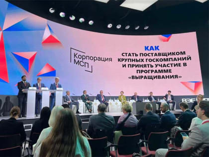 Делегация из Оренбуржья работает в Петербурге на международном экономическом форуме