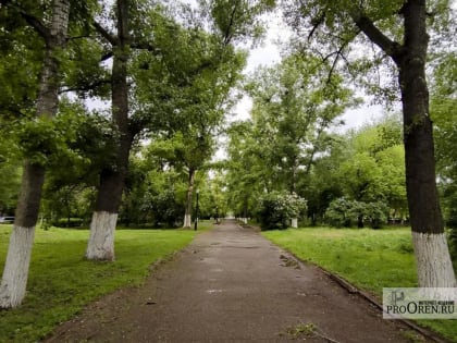 В Оренбуржье во второй половине мая пройдет акция «Сад памяти-2023»