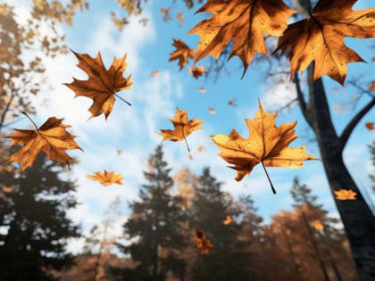 Ионов день: что можно и нельзя делать 5 октября