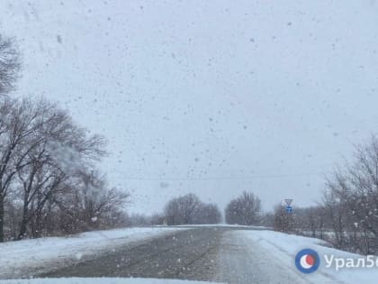 Сегодня в Оренбургской области ожидаются метель, сильный ветер и заносы на дорогах