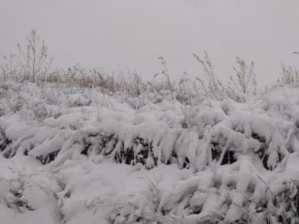 Погодное обострение. В Оренбуржье сохранятся снегопады и метели