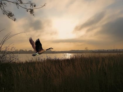 Никитин день: что можно и нельзя делать 28 сентября
