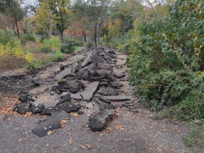 В Оренбурге благоустроят Сад имени Октябрьской революции на улице Комсомольской