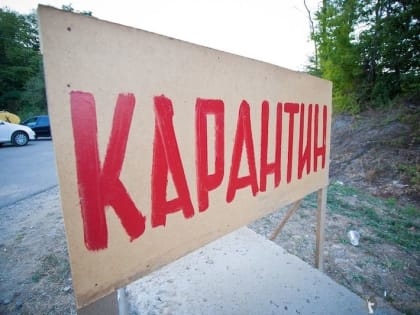 В Оренбурге объявили карантин по бешенству