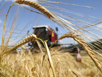 Аграрии Оренбуржья намолотили первый миллион тонн зерна
