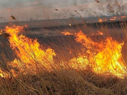 На юго-востоке Оренбуржья прогнозируется высокий класс пожарной опасности