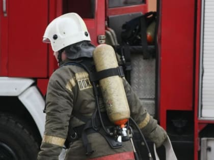 В Оренбурге на улице Салмышской сгорел автомобиль
