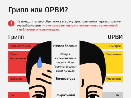 В каждом третьем регионе России из-за гриппа часть школ ушла на карантин