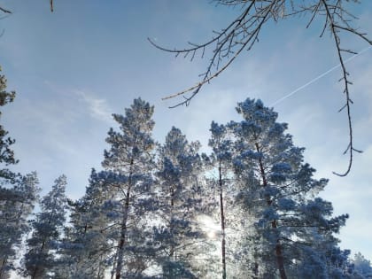 Осадки прекратятся. На Оренбуржье идёт похолодание