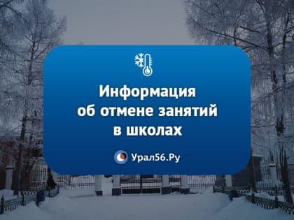 13 января морозы сменило потепление: информация об отмене занятий в школах и переходе на дистант