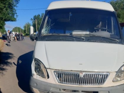 Сбитая «Газелью» на переходе новотройчанка скончалась в больнице