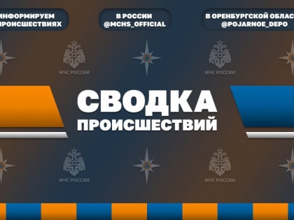 В Оренбуржье за сутки из пожаров спасли 13 человек