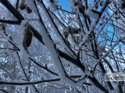 В ближайшие сутки в Оренбуржье ожидается ледяной дождь