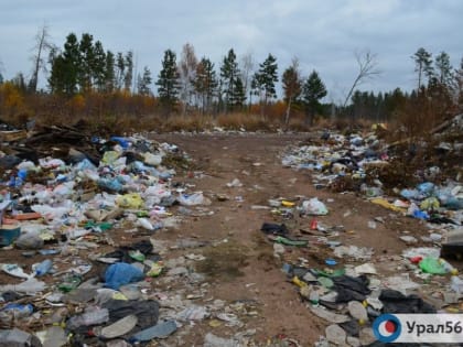 22 водителя из Оренбургской области были оштрафованы за выброшенный из машины мусор