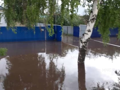 Из-за ливня в Александровском районе затопило дома и дороги