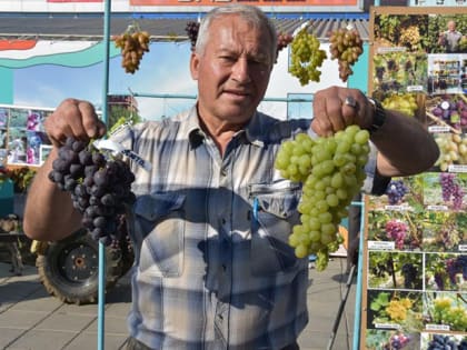 Оренбуржцев ждут на выставке-ярмарке оренбургских товаропроизводителей