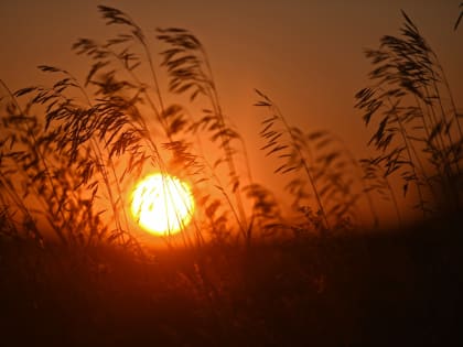 Потепление принесет в Оренбургскую область дожди