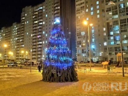 В Оренбурге торжественное открытие елок начнется 19 декабря