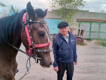 Верный конь в беде не бросит