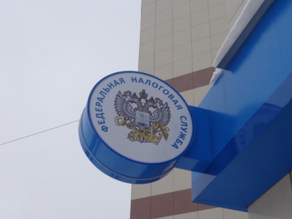 В Оренбуржье стартовала ежегодная декларационная кампания