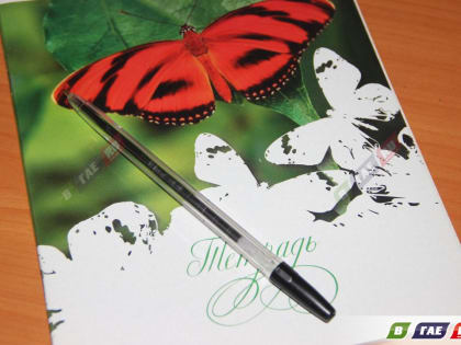 Ходят по квартирам и выведывают количество детей