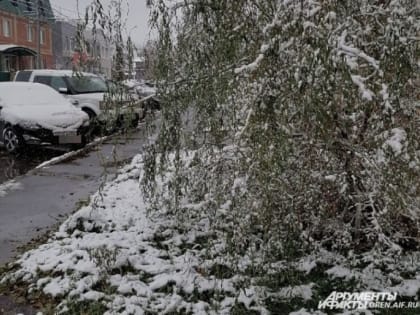 6 ноября в Оренбургской области будет пасмурно и скользко