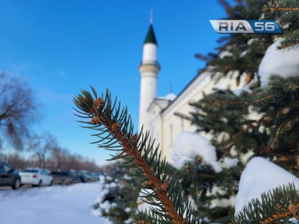 Морозно и без осадков. В Оренбуржье днем, 25 февраля, ожидается -15 градусов