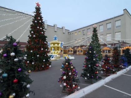 В Оренбурге на открытии главной елки фейерверка не будет